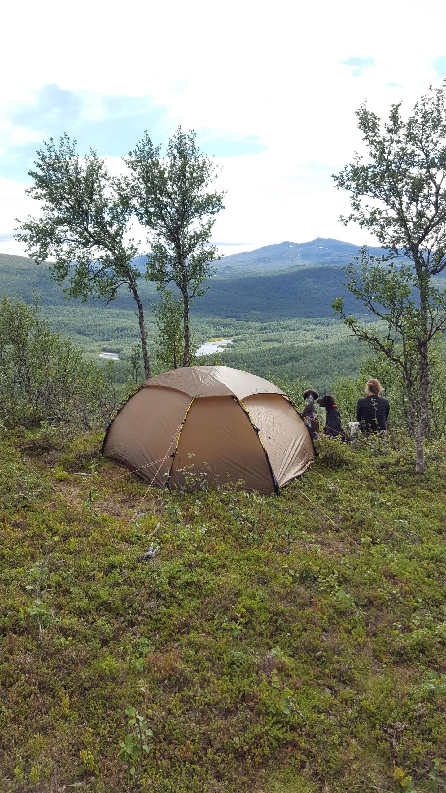 Hilleberg Allak 3 - Sand 5 Hilleberg Allak 3 - Sand - Billede 3